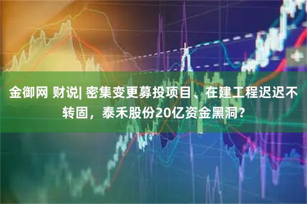 金御网 财说| 密集变更募投项目、在建工程迟迟不转固，泰禾股份20亿资金黑洞？