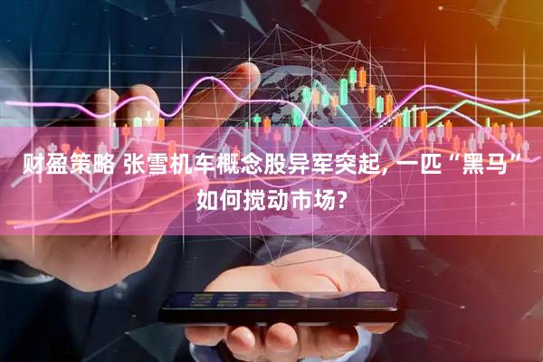 财盈策略 张雪机车概念股异军突起, 一匹“黑马”如何搅动市场?
