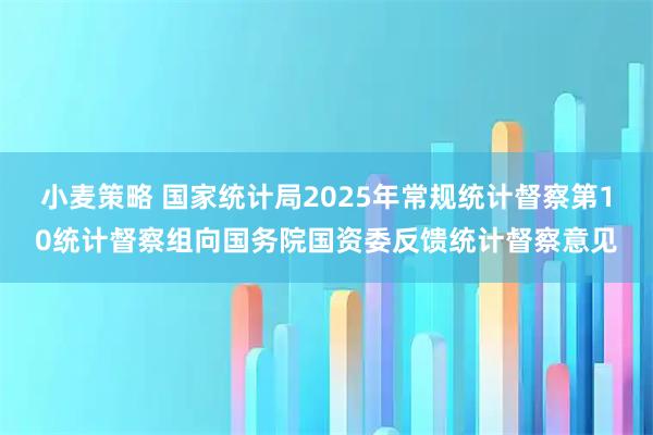 小麦策略 国家统计局2025年常规统计督察第10统计督察组向国务院国资委反馈统计督察意见
