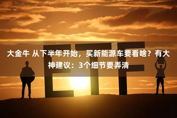 大金牛 从下半年开始，买新能源车要看啥？有大神建议：3个细节要弄清