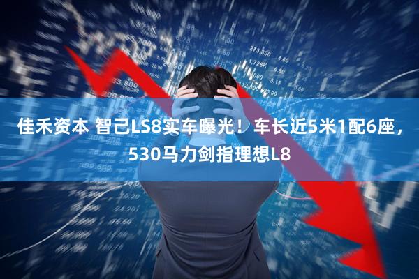 佳禾资本 智己LS8实车曝光！车长近5米1配6座，530马力剑指理想L8