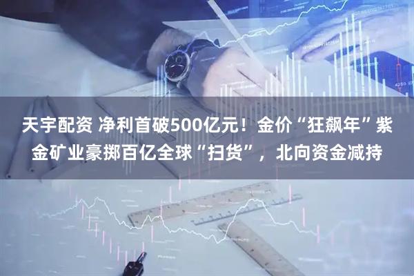 天宇配资 净利首破500亿元！金价“狂飙年”紫金矿业豪掷百亿全球“扫货”，北向资金减持