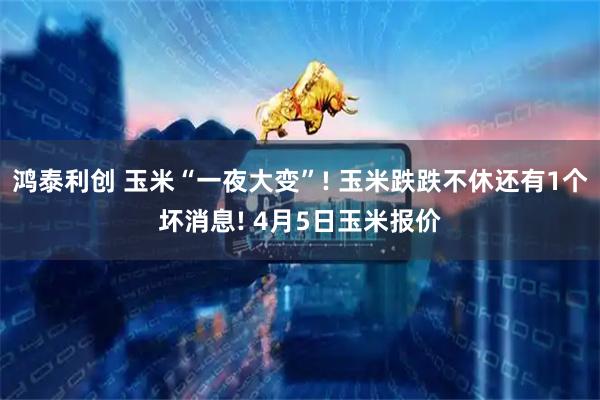 鸿泰利创 玉米“一夜大变”! 玉米跌跌不休还有1个坏消息! 4月5日玉米报价