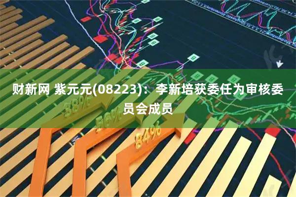 财新网 紫元元(08223)：李新培获委任为审核委员会成员