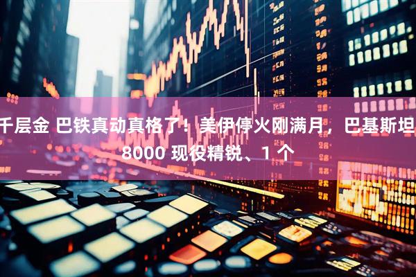 千层金 巴铁真动真格了！美伊停火刚满月，巴基斯坦 8000 现役精锐、1 个