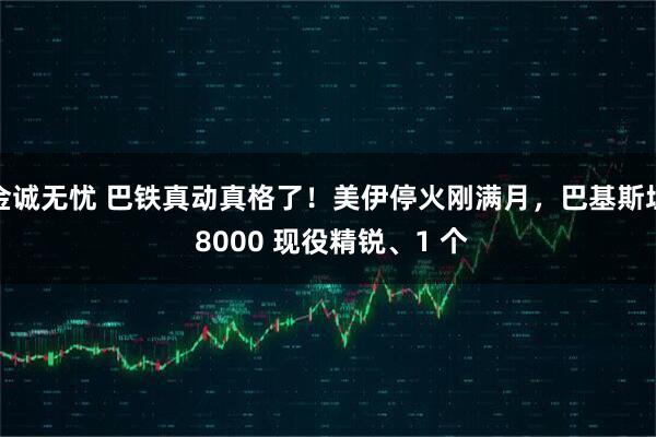 金诚无忧 巴铁真动真格了！美伊停火刚满月，巴基斯坦 8000 现役精锐、1 个