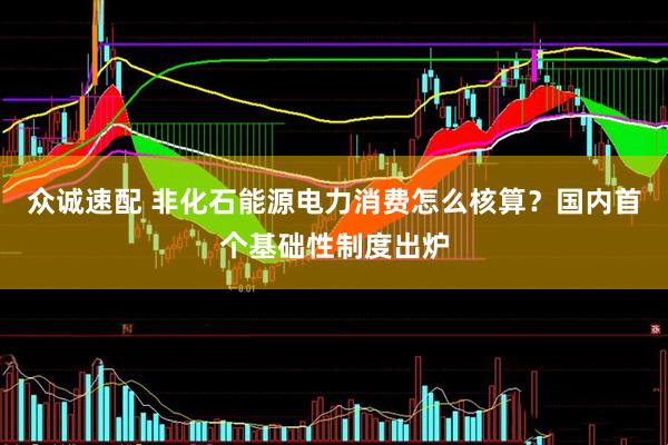 众诚速配 非化石能源电力消费怎么核算？国内首个基础性制度出炉