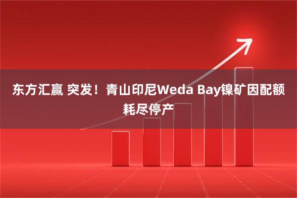 东方汇赢 突发！青山印尼Weda Bay镍矿因配额耗尽停产