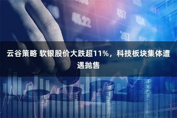 云谷策略 软银股价大跌超11%，科技板块集体遭遇抛售