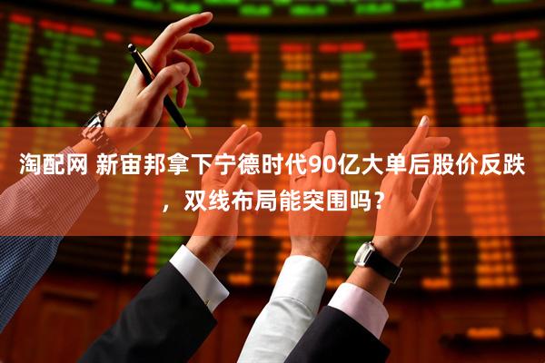 淘配网 新宙邦拿下宁德时代90亿大单后股价反跌，双线布局能突围吗？