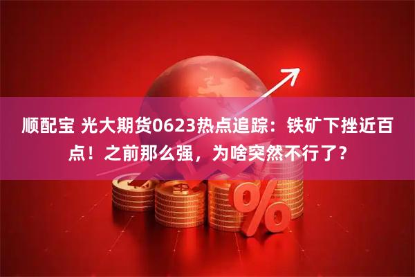 顺配宝 光大期货0623热点追踪:铁矿下挫近百点!之前那么强,为啥突然不行了?