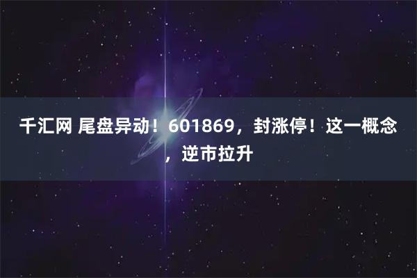 千汇网 尾盘异动！601869，封涨停！这一概念，逆市拉升