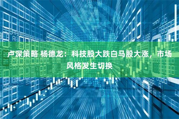 卢深策略 杨德龙:科技股大跌白马股大涨,市场风格发生切换