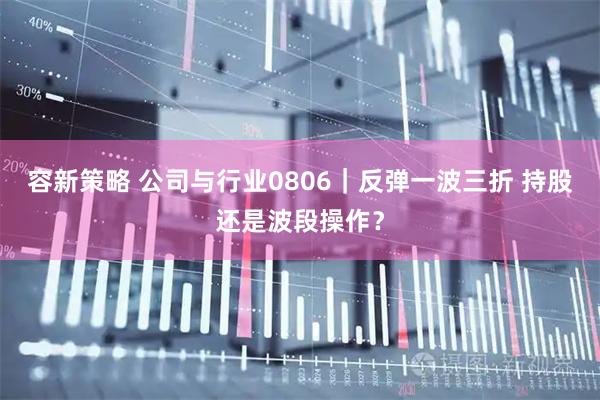 容新策略 公司与行业0806｜反弹一波三折 持股还是波段操作？