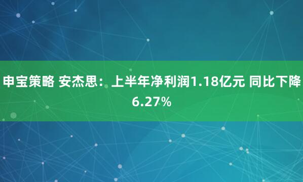 申宝策略 安杰思：上半年净利润1.18亿元 同比下降6.27%