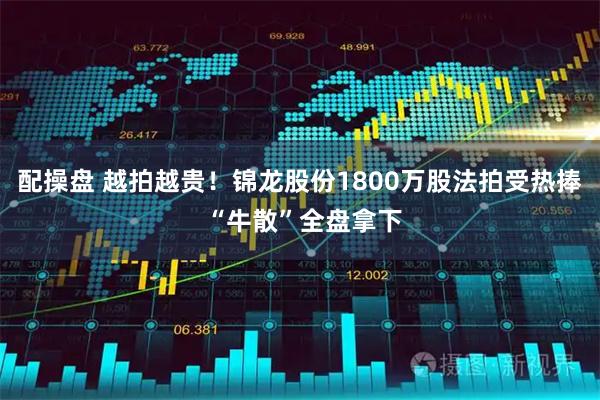 配操盘 越拍越贵！锦龙股份1800万股法拍受热捧 “牛散”全盘拿下